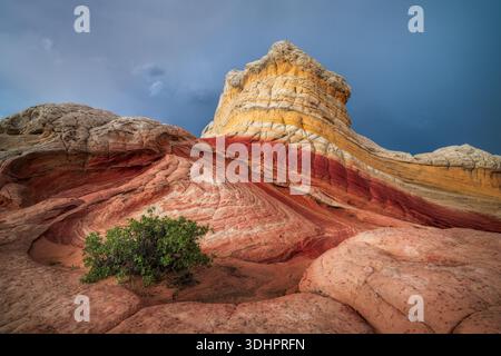 View of dramatic, undulating swirls of red and white sandstone formations rise towards a textured, layered summit under a moody sky, Marble Canyon, Ar Stock Photo
