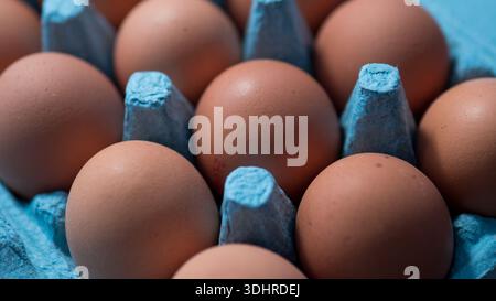 Brown chicken eggs in cardboard egg carton close-up Stock Photo