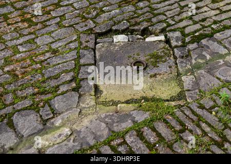 Close-up view of historic cobblestone pavement with a square stone slab and embedded iron ring in the courtyard of the Wurzburg Residence, Germany. Stock Photo