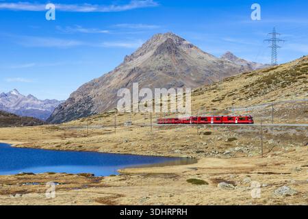 View of a vibrant red train snaking along tracks cutting through golden fields, reflecting against the deep blue alpine lake, Passo del Bernina, Griso Stock Photo
