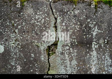 Vertical crack in weathered concrete wall with lichen. Close up shot, no people Stock Photo