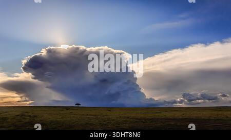 I was lucky to see the development of this massive anvil cloud in the Kenyan sky, when we were driving around looking for the next animal encounter. Stock Photo