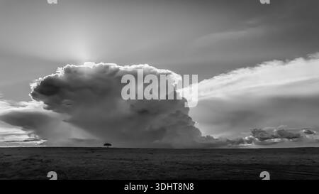 I was lucky to see the development of this massive anvil cloud in the Kenyan sky, when we were driving around looking for the next animal encounter. Stock Photo