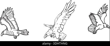 Majestic Eagle Line Art Illustration | Minimalist Bird of Prey Outline Drawing Stock Vector