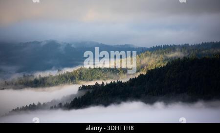 View of misty mountains blanketed with fog, partially illuminated by sunlight breaking through the clouds, casting shadows on the forest, Garberville, Stock Photo