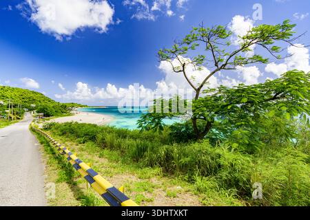 View of a winding road beside the turquoise sea, leading to a white sandy beach under a bright blue sky, Saint John's, Antigua and Barbuda. Stock Photo