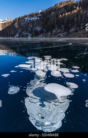 Frozen methane gas or ice bubbles in the frozen lake seen through transparent ice Stock Photo
