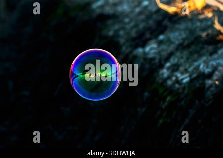Iridescent Soap Bubble Floating Against a Dark Background Stock Photo