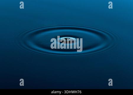 Iridescent Soap Bubble Floating Against a Dark Background Stock Photo