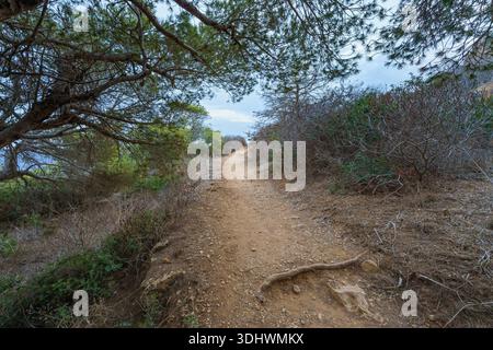A straight, unpaved dirt road cutting through the dry, open landscape and scrub-covered terrain of Levanzo Island, Sicily, leading toward a rolling hi Stock Photo