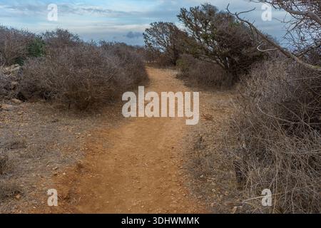 A straight, unpaved dirt road cutting through the dry, open landscape and scrub-covered terrain of Levanzo Island, Sicily under a vast, clear blue sky Stock Photo
