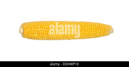 Fresh corn on the cob. Corn cobs isolated on white background. Sweet corn. Stock Photo