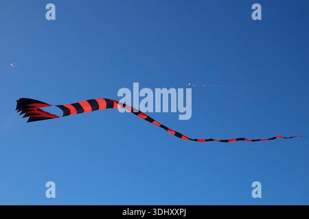 Kites fly in the sky during a kite festival. Stock Photo