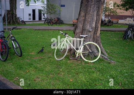 A grass common area in Singapore with many bikes left around with one leaning up against a large tree with a bird sitting on its wheel. Stock Photo