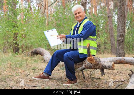 Senior forester with blank clipboard sitting on log in forest Stock Photo