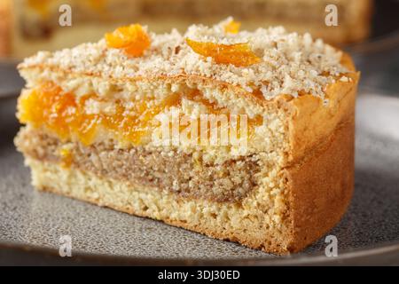 delicious multi-layered cake with a filling of dried apricots and ground walnuts, close-up, on a plate on a table. Horizontal Stock Photo