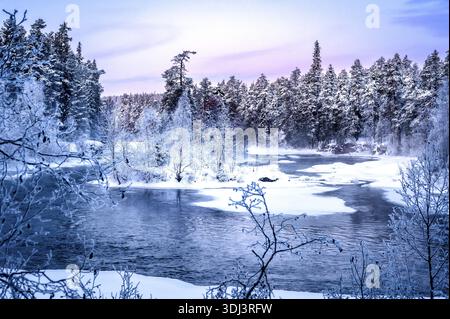 Snowy trees and a frozen river at dusk in a picturesque winter landscape. Finland. Lapland Oulanka NP Stock Photo