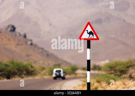 Camel warning traffic sign, Oman Stock Photo - Alamy