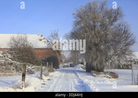 Large farm, pasture, Luedersen mountain village snowed in winter after snowstorm Elli, Springe, Hanover region, Lower Saxony Stock Photo