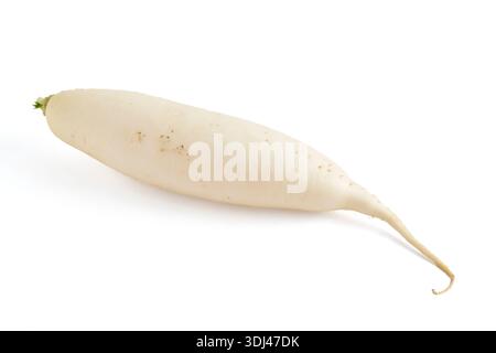 Fresh white daikon radish isolated on white background Stock Photo