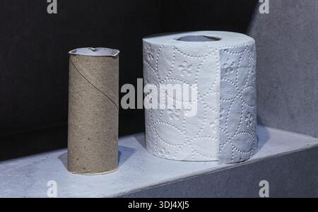 Contrast between a full roll of soft embossed paper and a finished cardboard base. Everyday bathroom scene symbolizing consumption Stock Photo