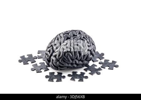 Human brain with puzzle pieces isolated on white background Stock Photo