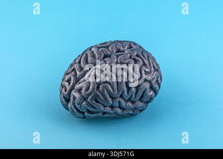 Human silver brain model isolated on blue background with clipping path Stock Photo