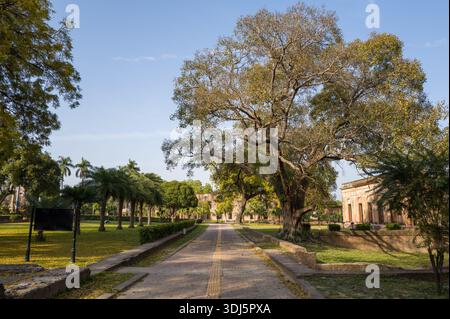 Lucknow, India - March 15, 2024: The image shows a paved walkway lined with large trees and flanked by grassy lawns and historic brick buildings at the Residency Complex under clear daylight. Stock Photo