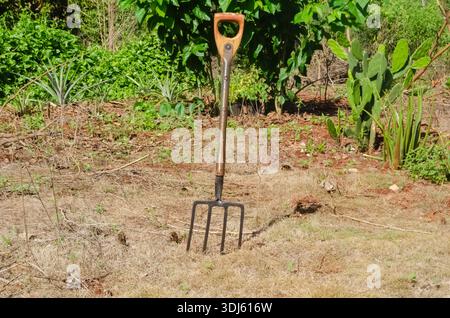 A Garden Fork Is Left Stock in the Ground Stock Photo
