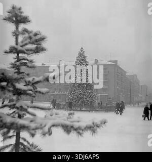 Sloviansk, Donetsk region, Ukraine, USSR. 1970s. Winter holiday scene on the Square of the October Revolution (now Soborna Square). A large decorated New Year tree stands in the center, surrounded by a wooden fence. Citizens walk around the snowy square. In the foreground, a blurry snow-covered pine branch frames the view, adding depth to the composition. In the background, a residential building with a shop on the ground floor is visible. The image captures the festive atmosphere and urban life of the peaceful Donbas. An archival black and white photograph. Stock Photo