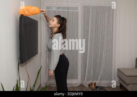 A woman is cleaning the top of a television with a dusting tool while standing in a living room. A small dog is sitting on the floor nearby, looking up at her. Stock Photo