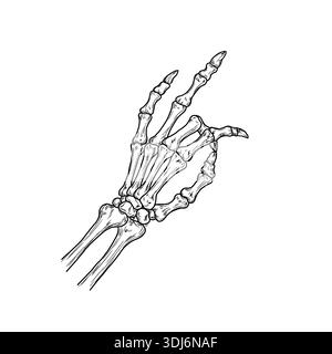 Skeletal hand with bony fingers, folded in a pinch, sketch. Vector illustration. Man's hand isolated on white background. For prints, stickers and Hal Stock Vector