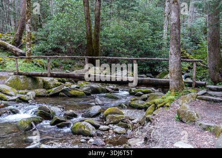 A Wooden Footbridge Over a Rocky Stream on a Trail in the Great Smoky National Park Stock Photo