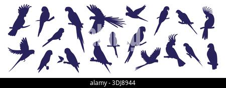 Parrot silhouette. Macaw bird, flying parakeet pet or exotic jungle cockatiel. Caribbean, Brazil ara feather drawing, nature black objects for logo and emblems. Vector flat style isolated icons set Stock Vector