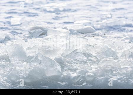 Close-up of translucent ice shards standing in a frozen surface with snow, backlit by winter sunlight outdoors Stock Photo