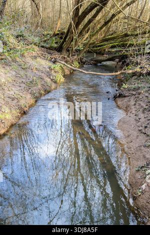 Tree and Clouds Reflected in a Stream Stock Photo