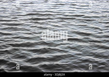 Dark calm water with gentle ripples reflecting natural light. The texture shows numerous small, soft waves rolling across the surface. Stock Photo