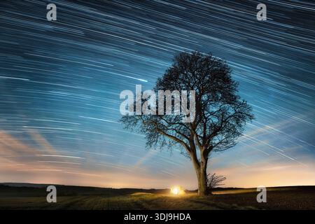 Blue night sky with star trails over a lone tree and an illuminated camping tent on the field Stock Photo
