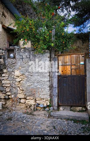 An old rustic wooden door surrounded by textured stone wall and vibrant greenery creates a charming, historic scene Stock Photo