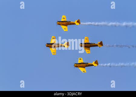 T-6 Texans flying in formation Stock Photo