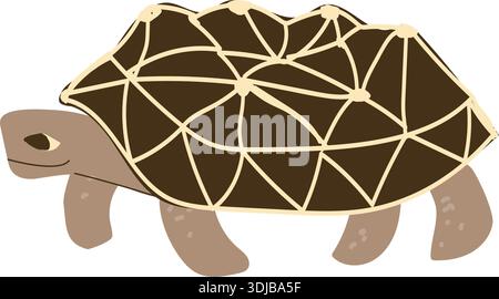 Indian star tortoise isolated on white background. Cartoon vector turtle illustration. Geochelone elegans in children style. Stock Vector