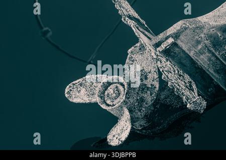 An underwater shot of a severely fouled boat propeller and shaft, indicating a need for urgent maintenance and antifouling treatment. Focuses on marin Stock Photo