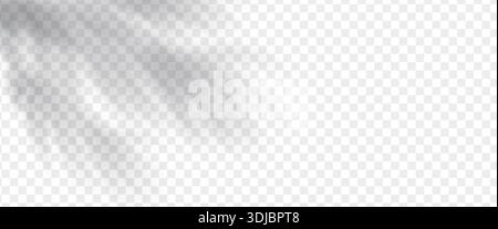 Tropical leaves shadows isolated on transparent background Stock Vector