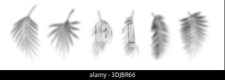 Tropical palm leaves overlay shadows collection. Blurred floral Stock Vector