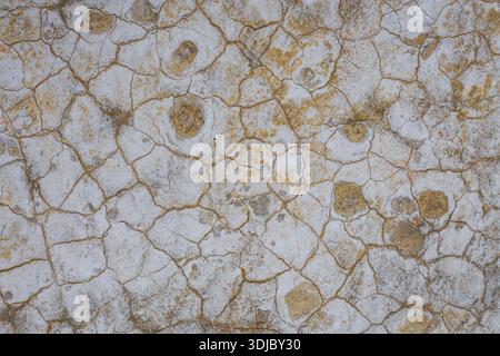 View of parched earth presenting a cracked, mosaic-like surface with golden hues peeking through the stark white, arid ground, Bardenas Reales, Navarr Stock Photo