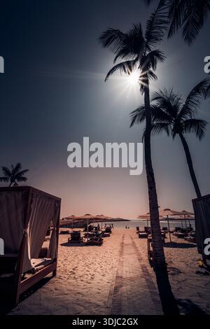 A tranquil beach resort scene in Oman Hawana Salalah, featuring silhouetted palm trees against a bright sun flare. Comfortable daybeds and beach umbre Stock Photo