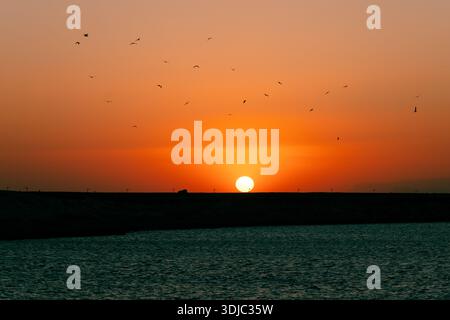 Dramatic sunset over the water in Oman Hawana Salalah, with the vibrant orange sun dipping below the horizon. Silhouetted birds are seen flying across Stock Photo