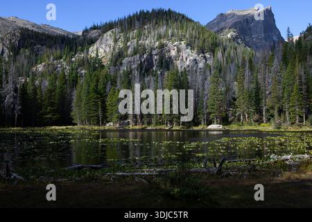 Nymph Lake in Rocky Mountain National Park Stock Photo