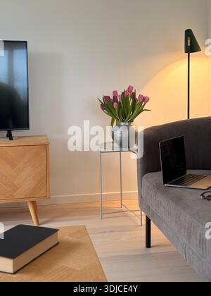 Close-up of an open laptop computer with a blank screen and pair of glasses on a sofa with cushions in a living room Stock Photo