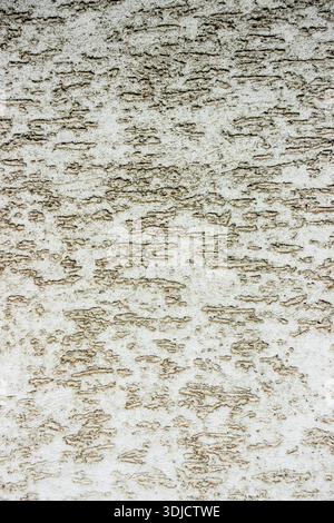 Close-up of rough plaster wall with weathered texture and uneven surface, ideal as abstract architectural background Stock Photo